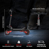 Freeboy USA EU Warehouse 10 Inch Fat Tire High Speed Adult E Scooter High Quality Folding Off Road Powerful Electric Scooter